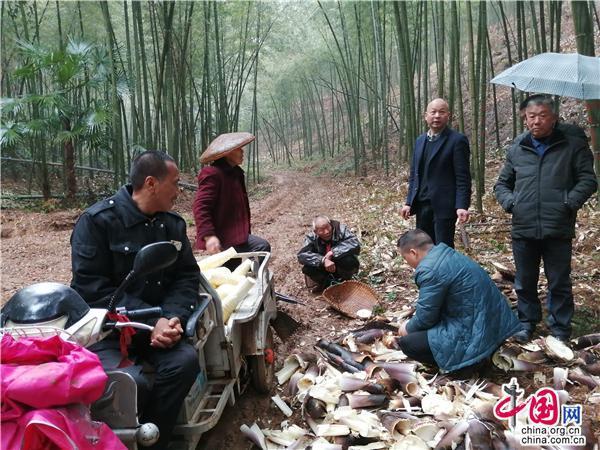 竹山车祸震惊社会，最新消息及影响分析