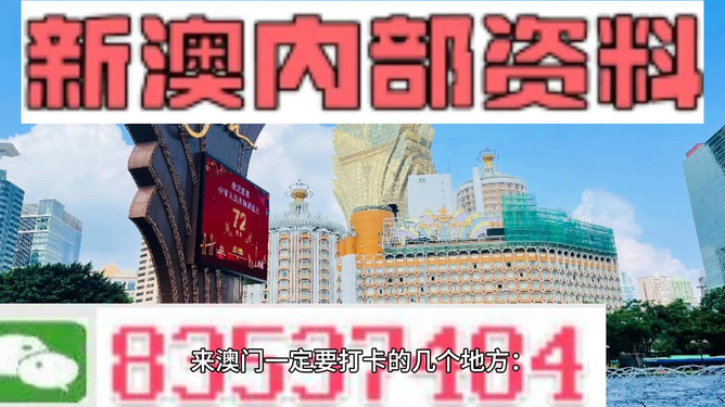 新澳门2024年正版免费公开｜全面把握解答解释策略