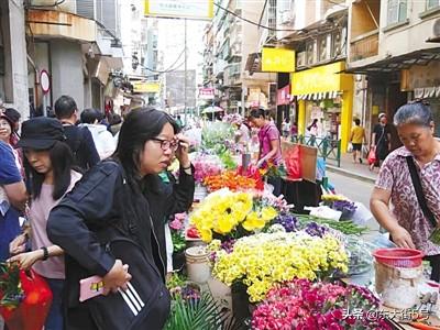 东京樱花洒向巴黎的街╰ 第2页