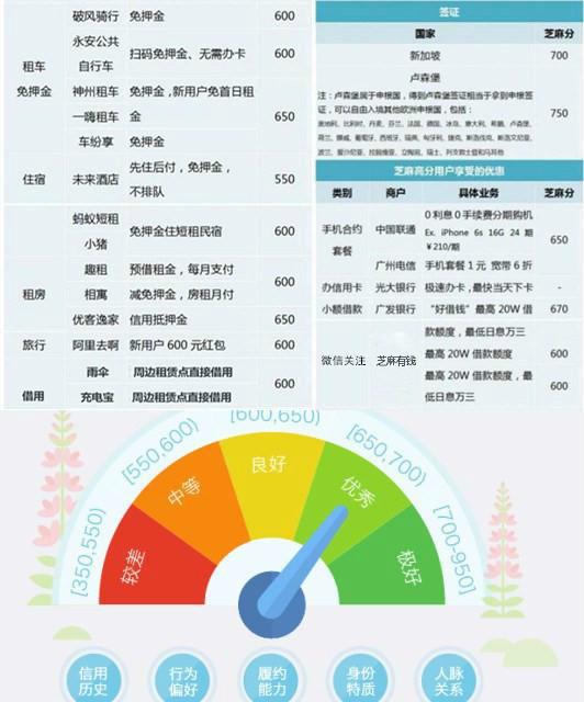 新澳2024正版资料免费公开,准确资料解释落实_MT51.381