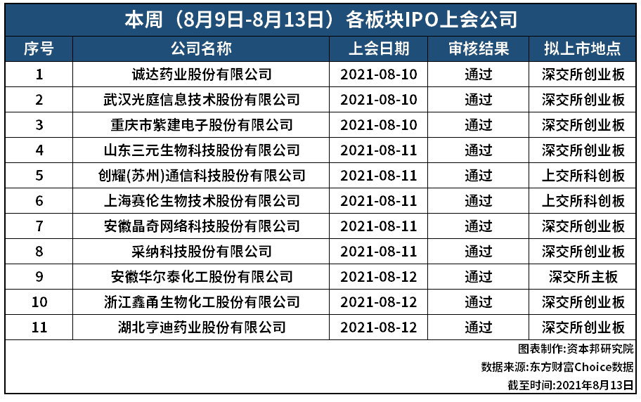 圣达药业ipo最新情况,圣达药业IPO最新情况深度解析