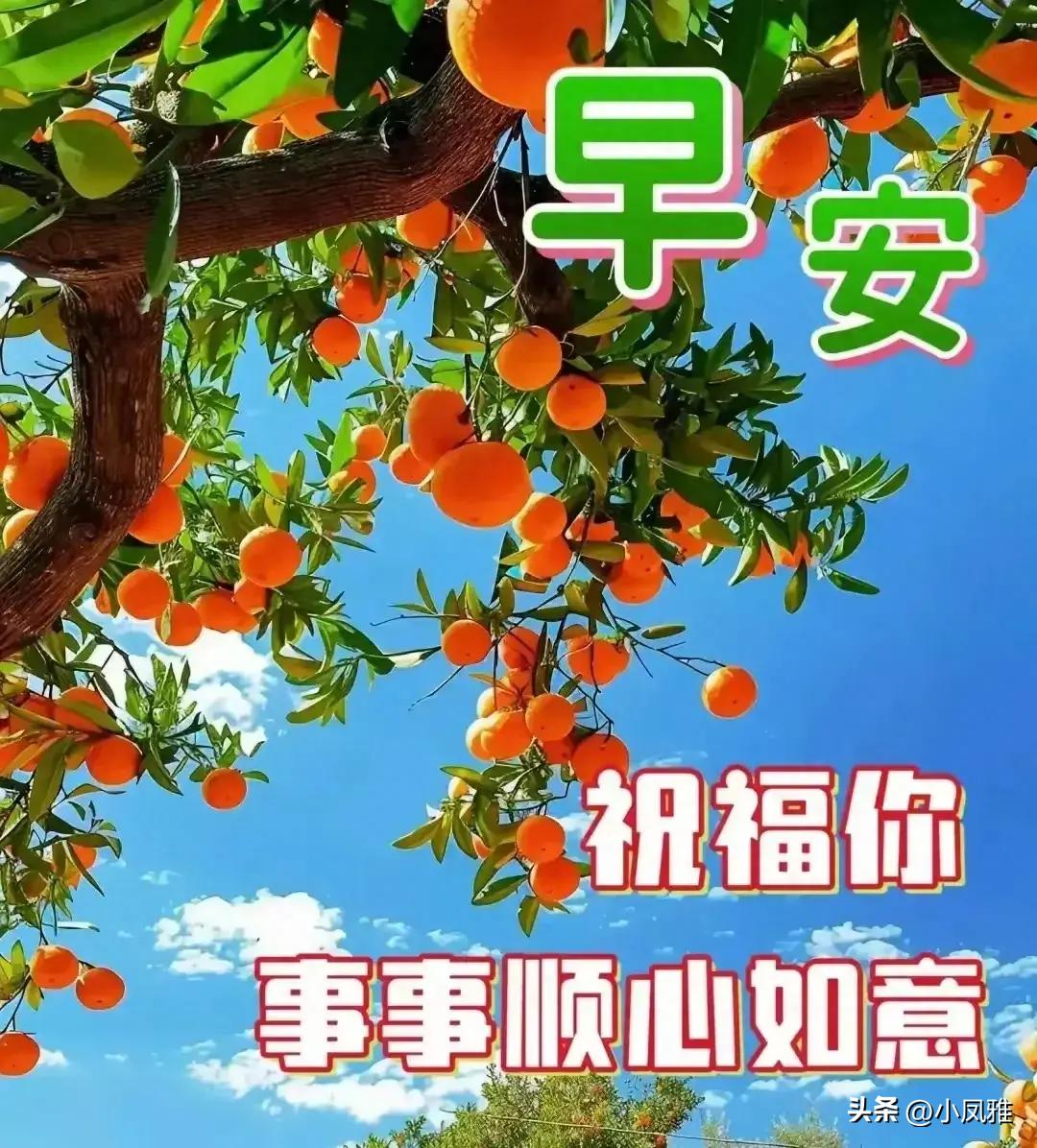 货物装卸服务 第71页