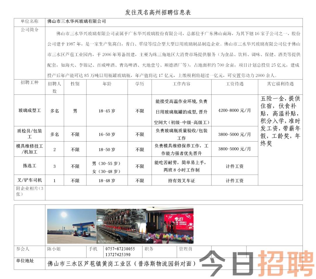 台山水步地区最新招聘信息概览