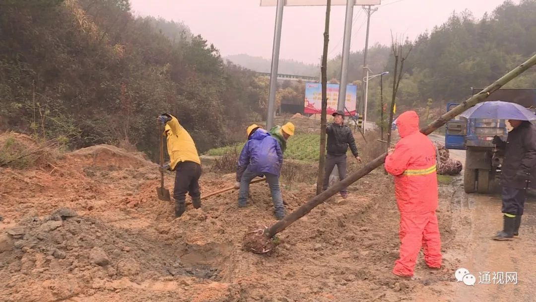 通山包砣网，传统美食与现代科技的融合之美最新报道