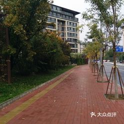 西北旺后厂村最新新闻概览，最新动态一网打尽