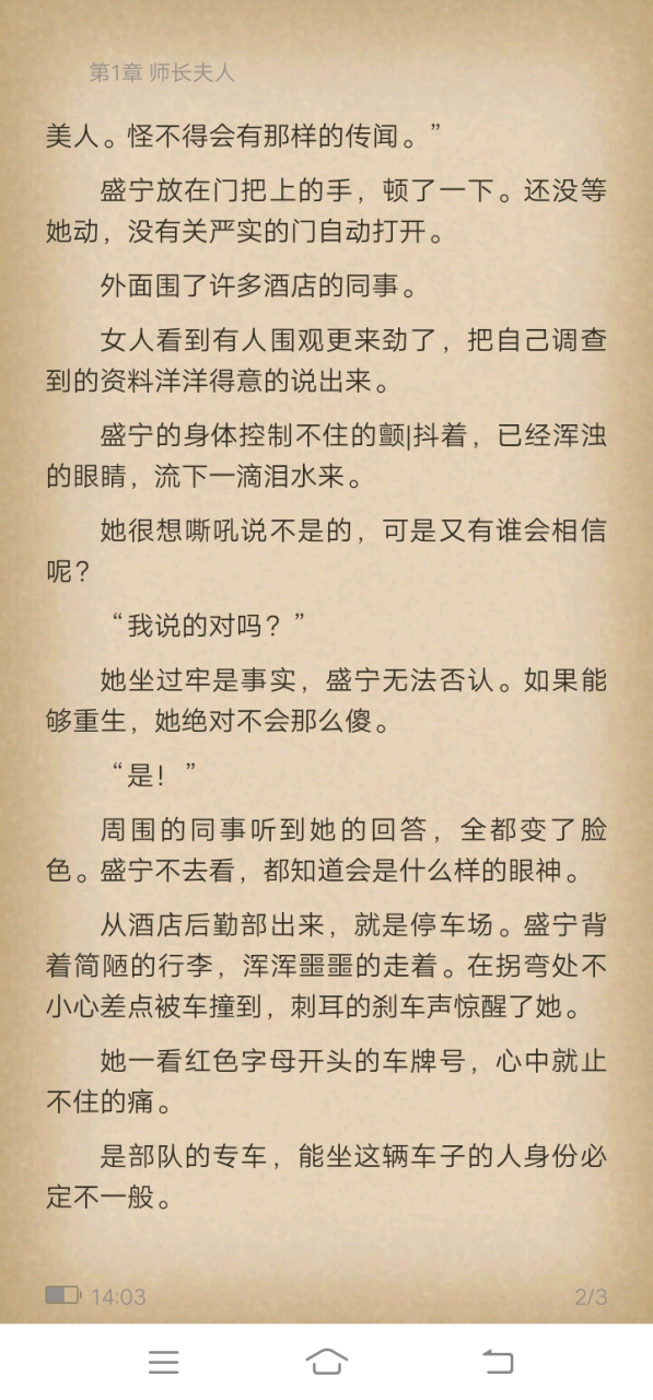 命运交织的旋律，盛宁与徐启刚的最新章节