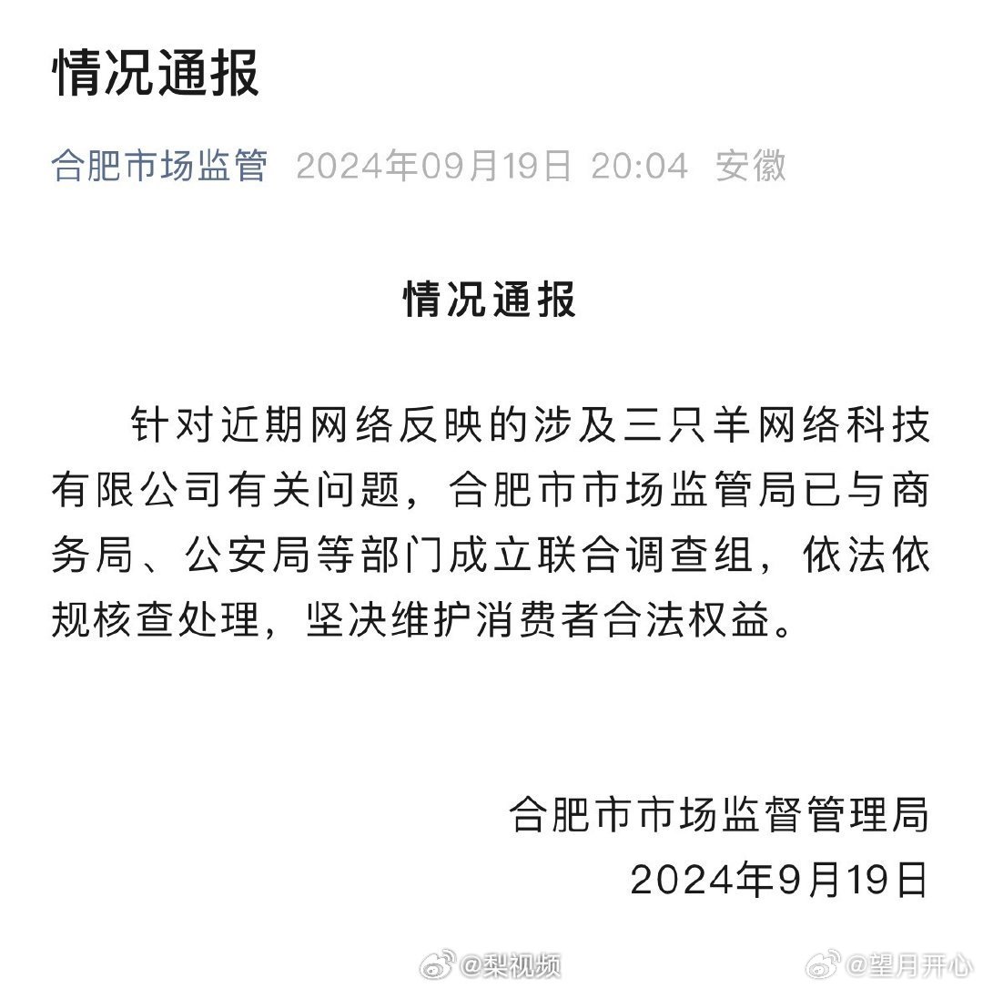 合肥打传办打击传销行动取得显著成果，最新消息发布