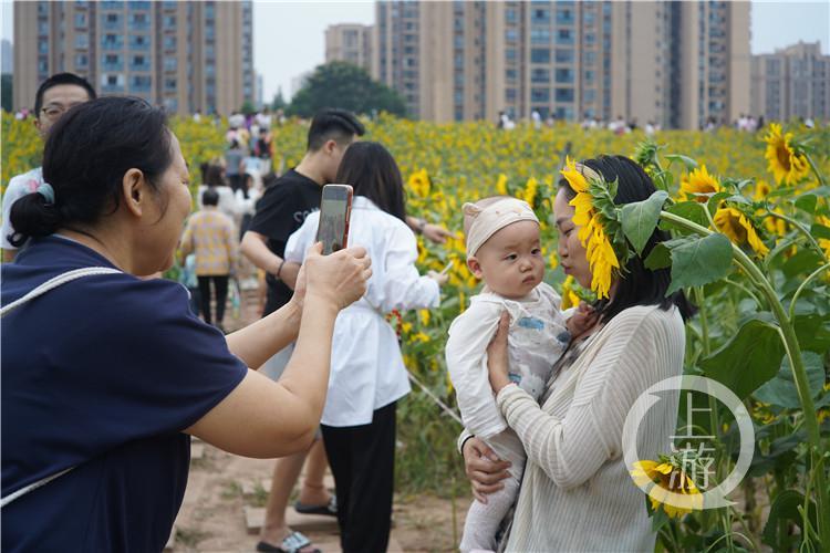 重庆北碚蔡家最新资讯与新闻动态